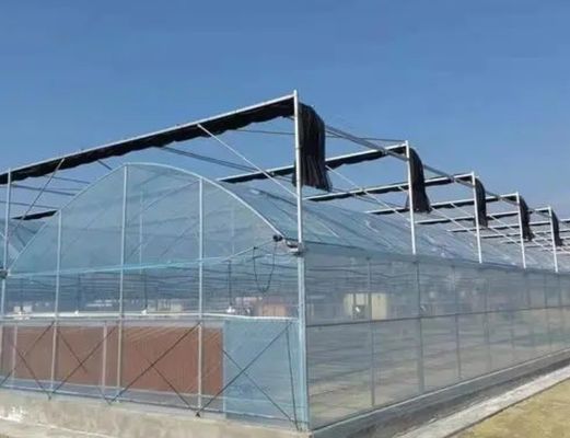 Sistema de invernaderos hidropónicos de múltiples tramos para producción y experimentación comercial