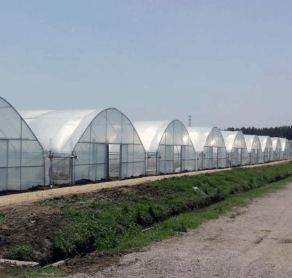 Sistema de invernaderos hidropónicos de múltiples tramos para producción y experimentación comercial