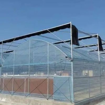 Cultivo de semillas Juxiang Invernadero de película hidropónica de granja con solicitud personalizada