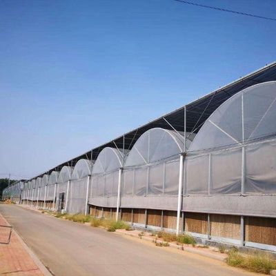 Cultivo de semillas Juxiang Invernadero de película hidropónica de granja con solicitud personalizada