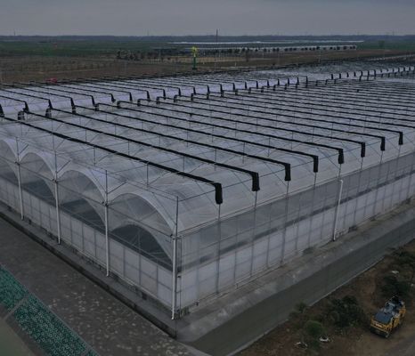 Cultivo de semillas Juxiang Invernadero de película hidropónica de granja con solicitud personalizada