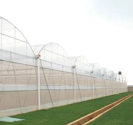 Cultivo de semillas Juxiang Invernadero de película hidropónica de granja con solicitud personalizada