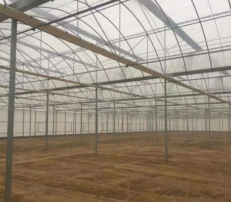 Cultivo de semillas Juxiang Invernadero de película hidropónica de granja con solicitud personalizada