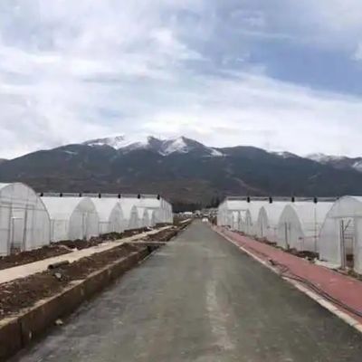 Tubo de acero galvanizado por inmersión en caliente película agrícola hidropónica invernaderos material de construcción