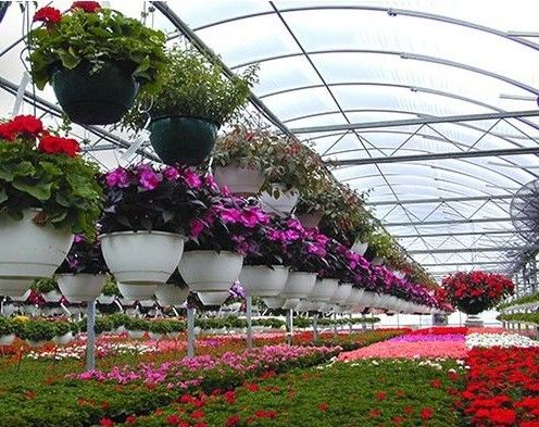 Invernadero para flores con película antigoteo de niebla Método de calentamiento temporal incluido