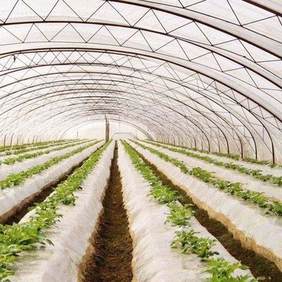 Sistema hidropónico personalizable para verduras y flores adaptado a sus necesidades