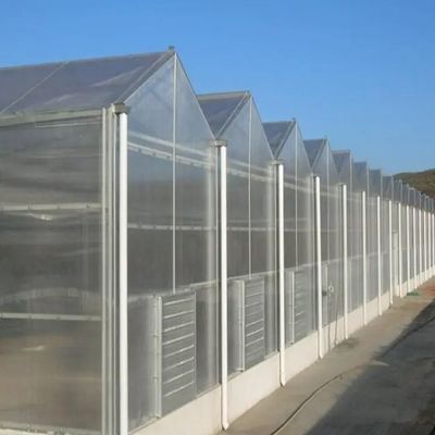 Sistema hidropónico personalizable para verduras y flores adaptado a sus necesidades