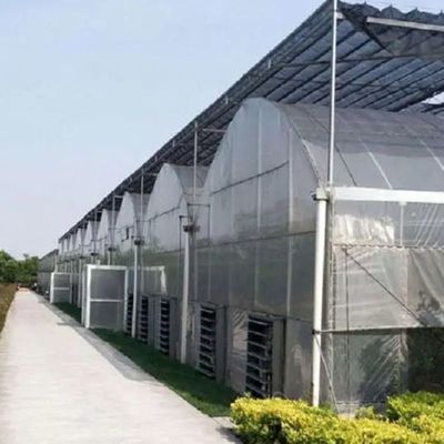 Sistema hidropónico personalizable para verduras y flores adaptado a sus necesidades