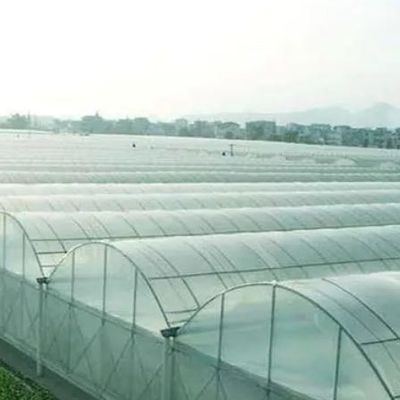 Invernadero de control de humedad multi-espacio de Juxiang para pimientos