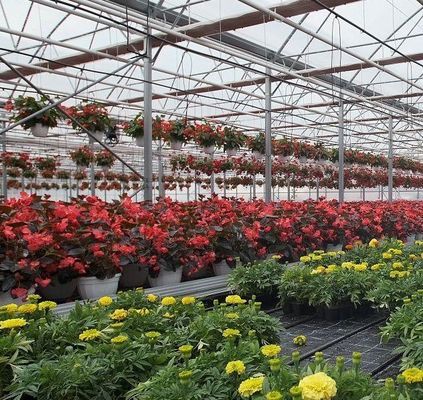 Sistema hidropónico de panela única para el rendimiento de cultivo de hortalizas en invernadero