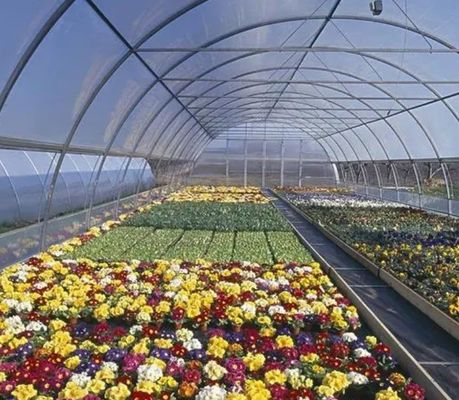 Sistema hidropónico de panela única para el rendimiento de cultivo de hortalizas en invernadero