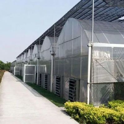 Sistema hidropónico de Juxiang de varias extensiones, invernadero de humedad para flores, devolución de restituciones