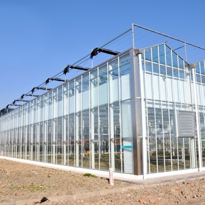 Invernadero de vidrio para semillas de agua caliente de múltiples tramos para control de estromales de hidroponía