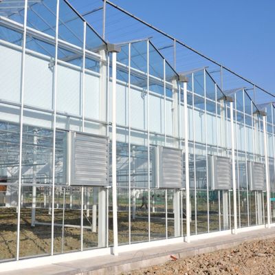 Invernadero de vidrio para semillas de agua caliente de múltiples tramos para control de estromales de hidroponía