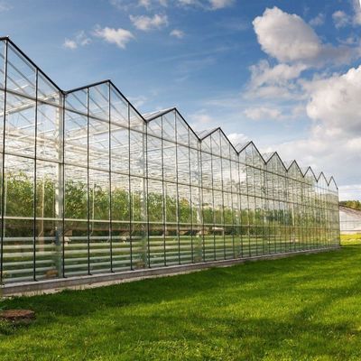 Invernadero de vidrio templado de doble capa hueco de Venlo para el sistema de cultivo hidropónico
