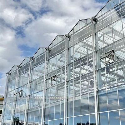 Invernadero de vidrio templado de doble capa hueco de Venlo para el sistema de cultivo hidropónico