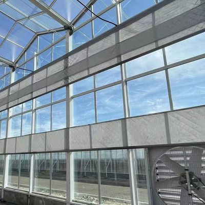 Invernadero de techo de estilo Venlo con control de humedad de múltiples tramos para plantas hidropónicas