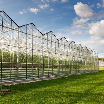 Invernadero de techo de estilo Venlo con control de humedad de múltiples tramos para plantas hidropónicas
