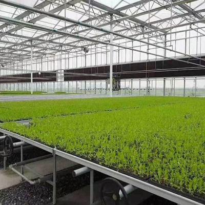 Invernadero de techo de estilo Venlo con control de humedad de múltiples tramos para plantas hidropónicas