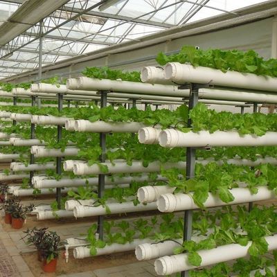 Invernadero de techo de estilo Venlo con control de humedad de múltiples tramos para plantas hidropónicas