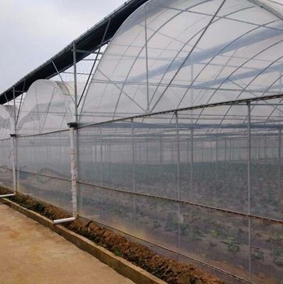1209.00cm * 235.00cm * 239.00cm Invernadero de película personalizable para el cultivo de hortalizas