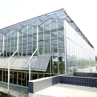 Origen Invernadero de vidrio de vegetales y flores con método de cultivo hidropónico