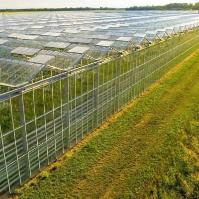 Origen Invernadero de vidrio de vegetales y flores con método de cultivo hidropónico