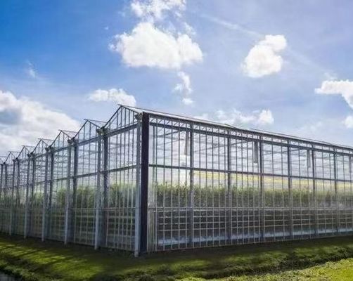 Origen Invernadero de vidrio de vegetales y flores con método de cultivo hidropónico