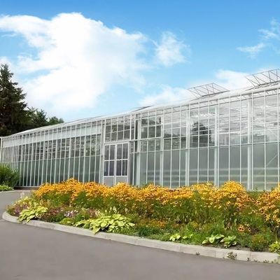 Origen Invernadero de vidrio de vegetales y flores con método de cultivo hidropónico