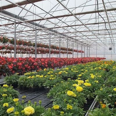 2000.000kg de paquete Peso bruto Invernadero de película antigoteo para la producción de hortalizas