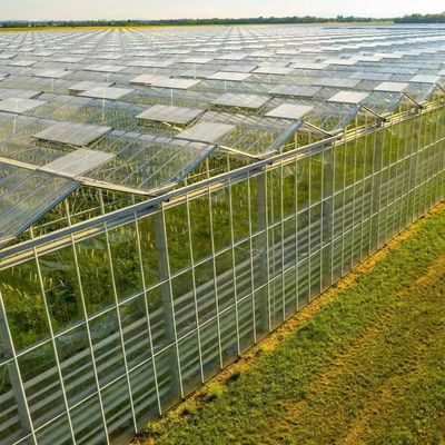 Personalización de invernaderos de vidrio multiflancos respetuosos con el medio ambiente y tiempo de entrega estimado