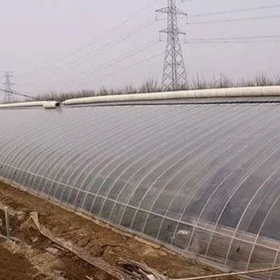 1209cm * 235cm * 239cm Tamaño del paquete Invernadero para la granja de tomates y pepinos Pago completo