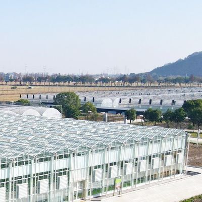 Invernadero de vidrio multifunción para soluciones de cultivo de vegetales acuapónicos personalizadas