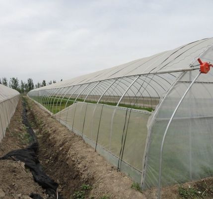 Pago inicial Hidropónica de pimienta y flores grandes con invernadero de película Pago completo