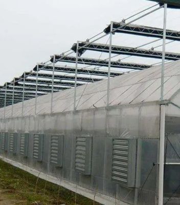 Pago inicial Hidropónica de pimienta y flores grandes con invernadero de película Pago completo
