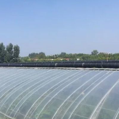 Opción de personalización Sistema hidropónico de Juxiang Invernadero de película de cultivo de vegetales