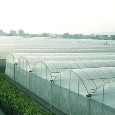 Opción de personalización Sistema hidropónico de Juxiang Invernadero de película de cultivo de vegetales