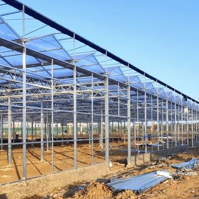 Invernadero de vidrio con hidroponía de cultivo de la demanda personalizada de techo de forma de un tipo de techo