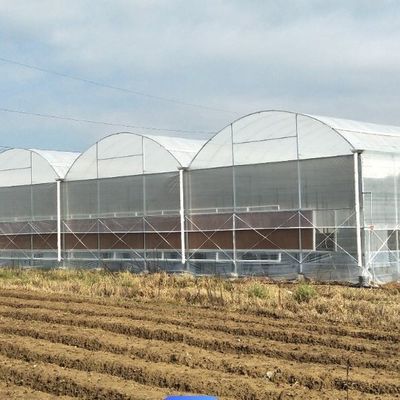 Invernadero de un solo arco para el cultivo de flores