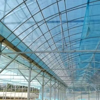 Invernadero de un solo arco para el cultivo de flores
