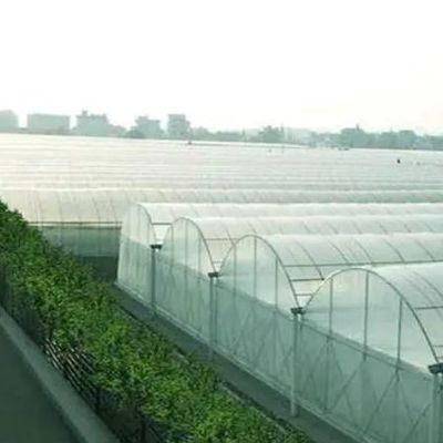 Sistema hidropónico de doble película personalizable para la producción de pimienta