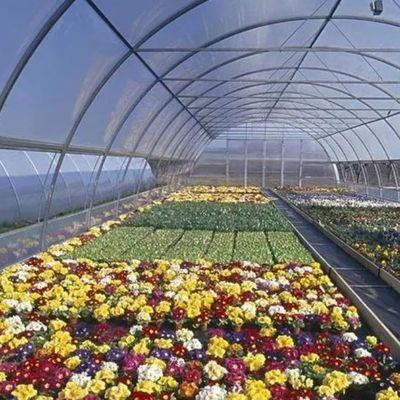 Invernadero de película de doble capa para cultivo sin suelo Tomate Pepinillo Cultivo de flores