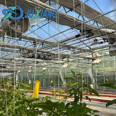 Invernadero comercial asequible para hortalizas o flores muestras US 20/m2