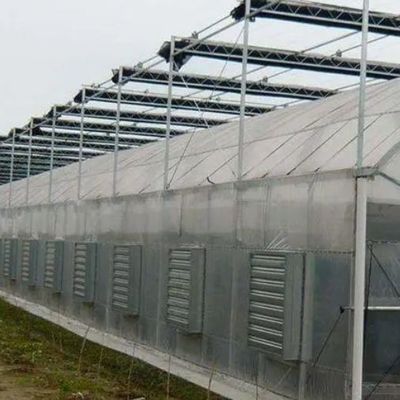 Invernadero de película de techo con arco de calefacción temporal para el cultivo de tomates y pepinos