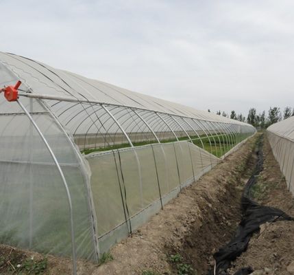 Invernadero hidropónico de pimienta y flores de doble arco con forma de techo de múltiples tramos