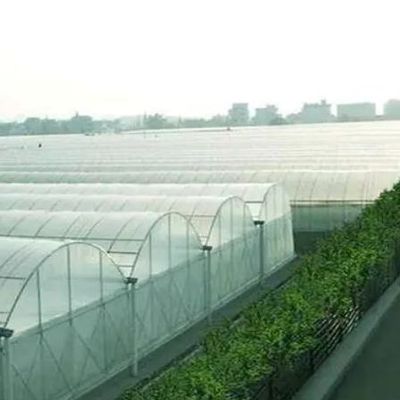 Invernadero hidropónico de pimienta y flores de doble arco con forma de techo de múltiples tramos
