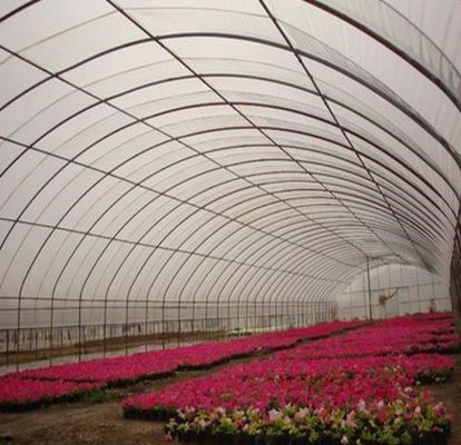 Invernadero hidropónico de pimienta y flores de doble arco con forma de techo de múltiples tramos