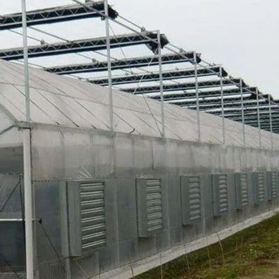 1209.00cm * 235.00cm * 239.00cm Invernadero para el cultivo de tomates y pepinos