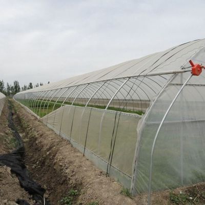 1209.00cm * 235.00cm * 239.00cm Invernadero para el cultivo de tomates y pepinos