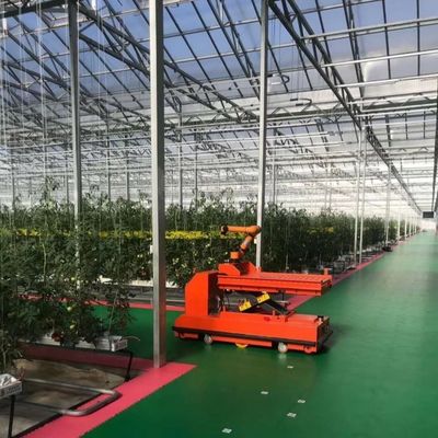 Invernadero de vidrio multiespans de Venlo con coste de envío y tiempo de entrega estimado